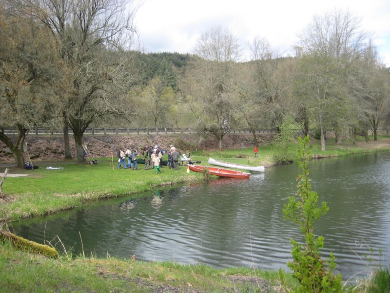 camporee201120110429007.jpg