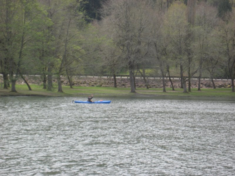 camporee201120110429032.jpg