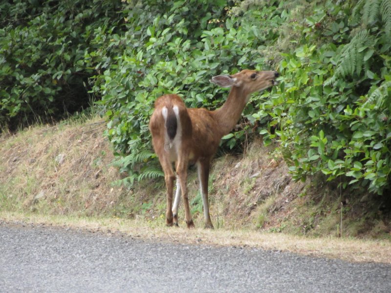 sanjuans20120818041.jpg