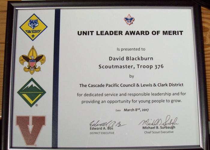 Unit Leader Award of Merit