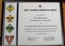 Unit Leader Award of Merit
