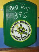 Troop 376 - 2014 Best Troop Award