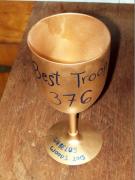 Troop 376 - 2015 Best Troop Award